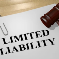 Driving Guest Limited Liability Coverage